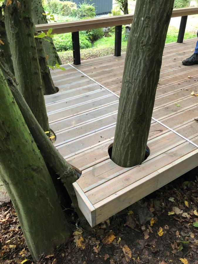 Ferienhaus Waldbaden Im Nationalpark Eifel- Am Bach Schleiden Bagian luar foto