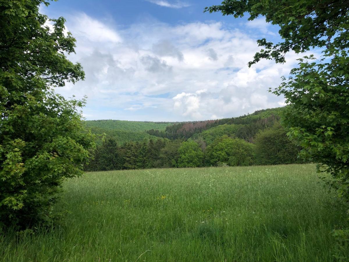 Ferienhaus Waldbaden Im Nationalpark Eifel- Am Bach Schleiden Bagian luar foto
