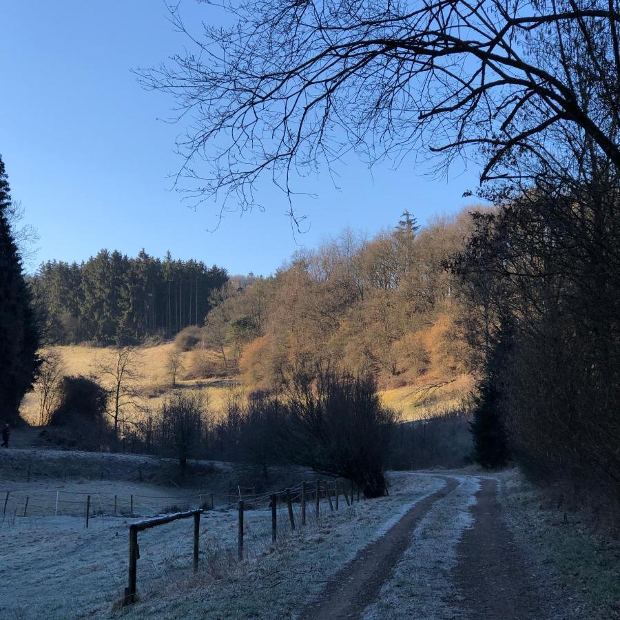 Ferienhaus Waldbaden Im Nationalpark Eifel- Am Bach Schleiden Bagian luar foto