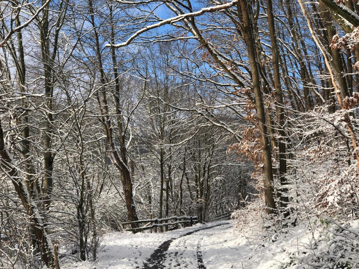 Ferienhaus Waldbaden Im Nationalpark Eifel- Am Bach Schleiden Bagian luar foto